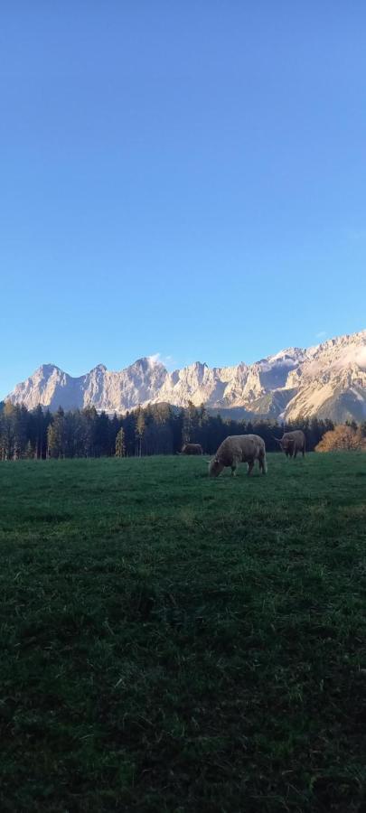 Landhaus-Koenigsberg, Vorberg 360 Ebenguetlweg Ramsau am Dachstein Εξωτερικό φωτογραφία